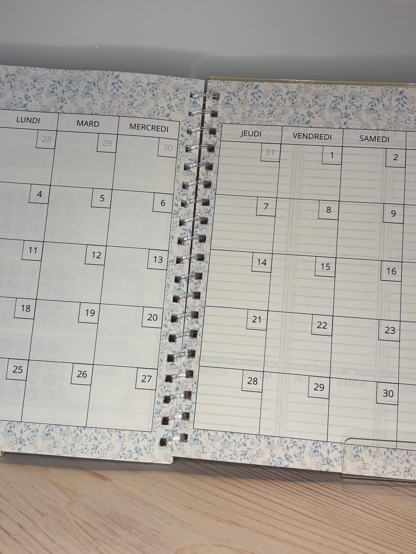 AGENDA CACTUS